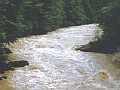 Flood of river Sihl in 1999